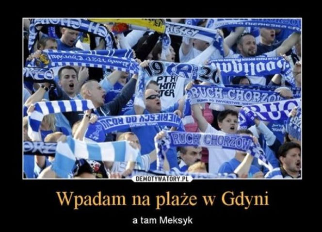 Memy meksyk gdynia kibice z chorzowa (8)