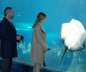 Pierwsza miłość. Aśka (Paulina Gałązka), Adrian (Jacek Kopczyński)