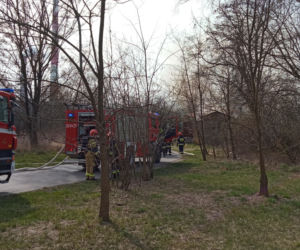 Pożar w Łęgu w Krakowie