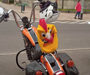 Moto Zające i Kurczaki niosą pomoc na Wielkanoc. Dziesiątki motocyklistów na ulicach Szczecina