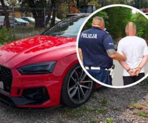 Wciągnął tablicę Mendelejewa i wsiadł za kółko drogiej fury. Wpadł, wyprzedzając radiowóz