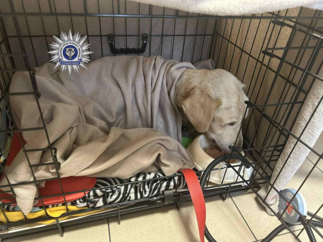 Szokująca interwencja w Chełmie