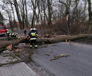 Strażacy walczą ze skutkami wichury - Grudziądz i powiat