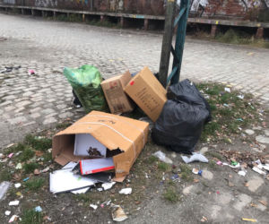 Śmieci na targowisku Świebodzki