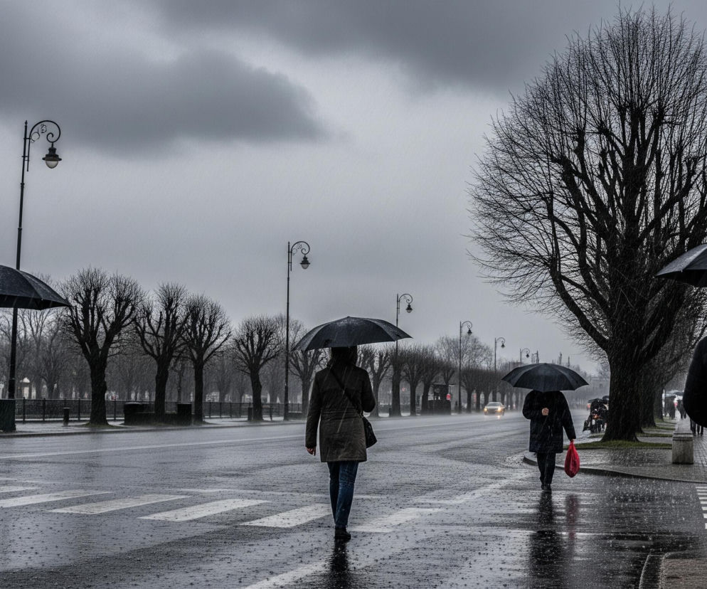 Ulica z przejściem dla pieszych jest mokra od deszczu, a na czarnych nawierzchniach widoczne są odbicia światła i spadające krople. Ludzie z parasolami idą w różnych kierunkach: po lewej mężczyzna w ciemnej kurtce i dżinsach, w centrum kobieta w długim płaszczu i dżinsach, a po prawej kolejna osoba w ciemnym płaszczu z czerwoną torbą w dłoni. W tle, po lewej stronie drogi, rozciąga się rząd nagich drzew, a po prawej widoczne są budynki i gęste korony drzew. Niebo jest pochmurne i szare, a na horyzoncie majaczą światła samochodu.