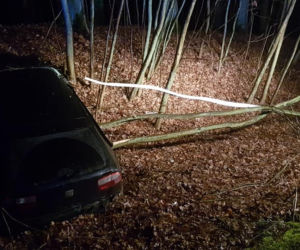 Kierowca z drogi i wjechał do rowu. Potrzebna była interwencja straży pożarnej