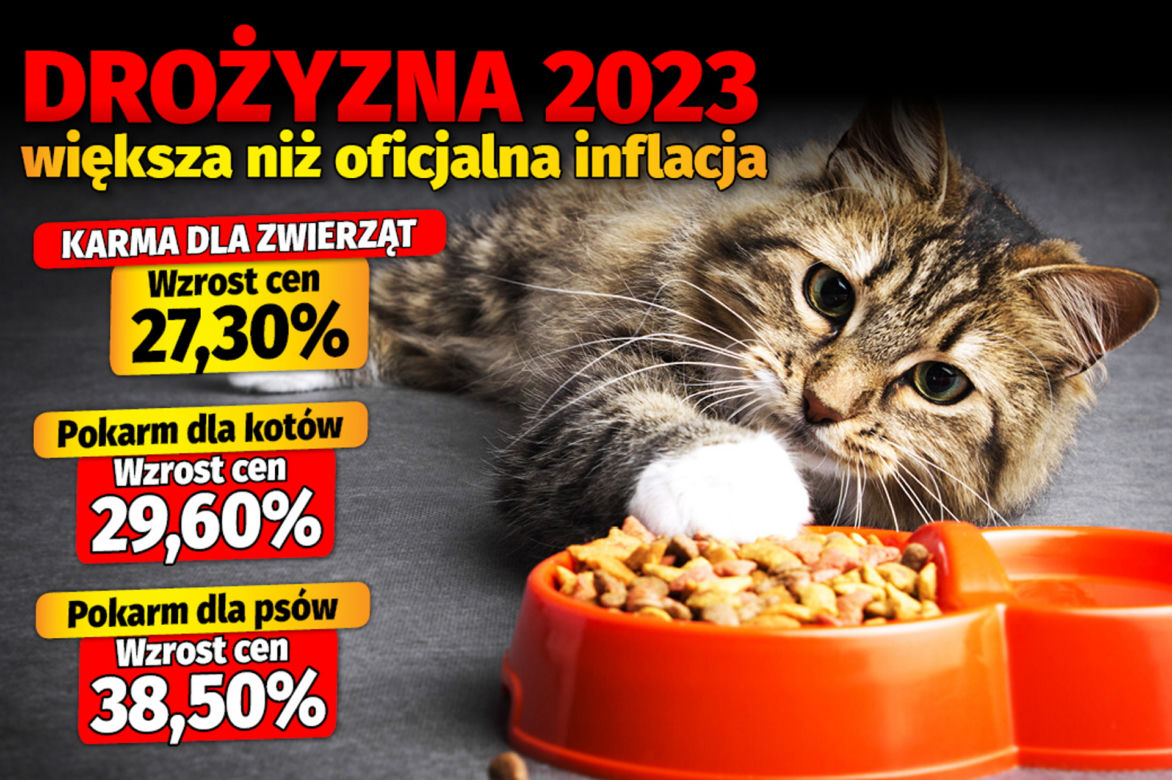 Drożyzna 2023 większa niż oficjalna inflacja 