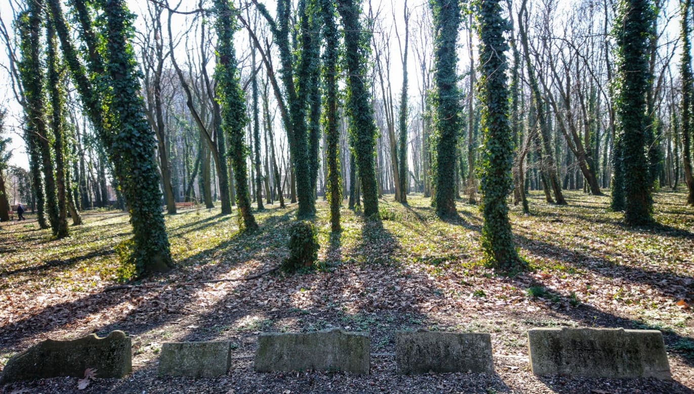 Park im. Tadeusza Rejtana w Łodzi