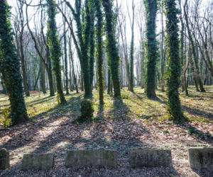 Park im. Tadeusza Rejtana w Łodzi