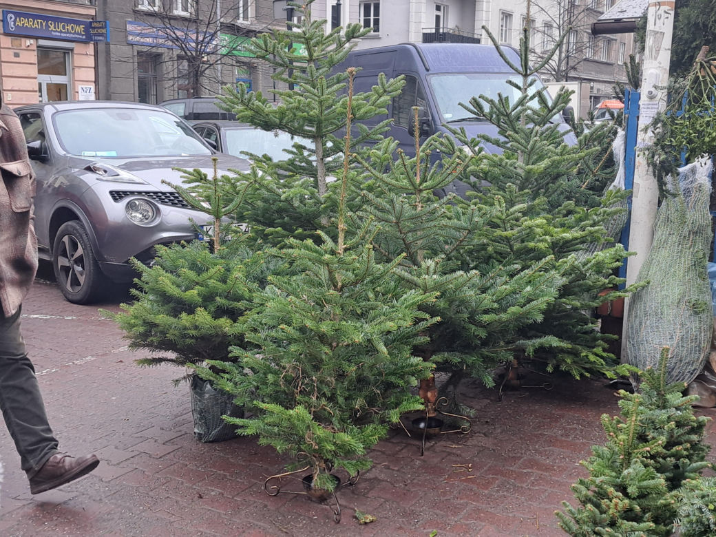Ceny ozdób świątecznych w Krakowie