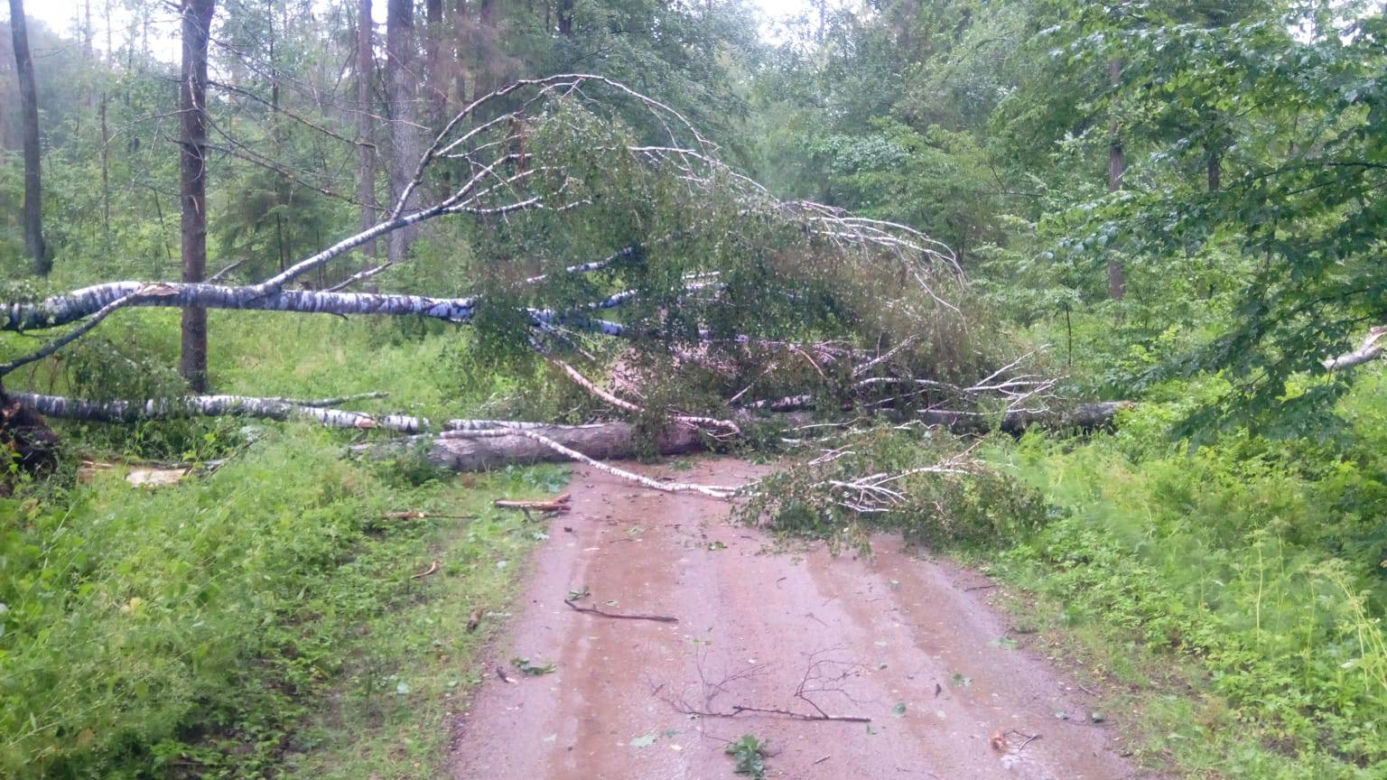 Fatalna pogoda w Białymstoku. Od rana ulewa i silny wiatr [ZDJĘCIA]