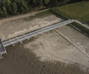 Zagłada ryb w Świdnicy