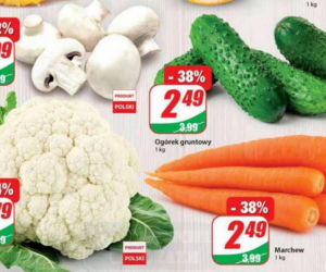 Promocje w Dino od 28 lipca.