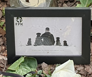 Zaskakujący zwrot w sprawie wypadku posła. Policja przyznała ochronę dla podejrzanego