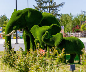 Wielka modernizacja Europejskiego Centrum Bajki w Pacanowie