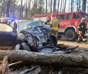 Przasnysz. Auto z kobietą i dzieckiem uderzyło w drzewo! Później spadł na nie pień! [ZDJĘCIA]