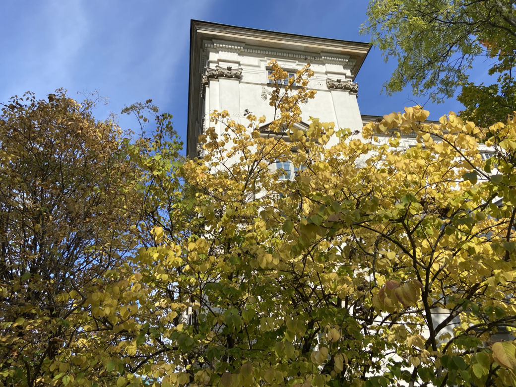 Jesień w Ogrodzie Krasińskich
