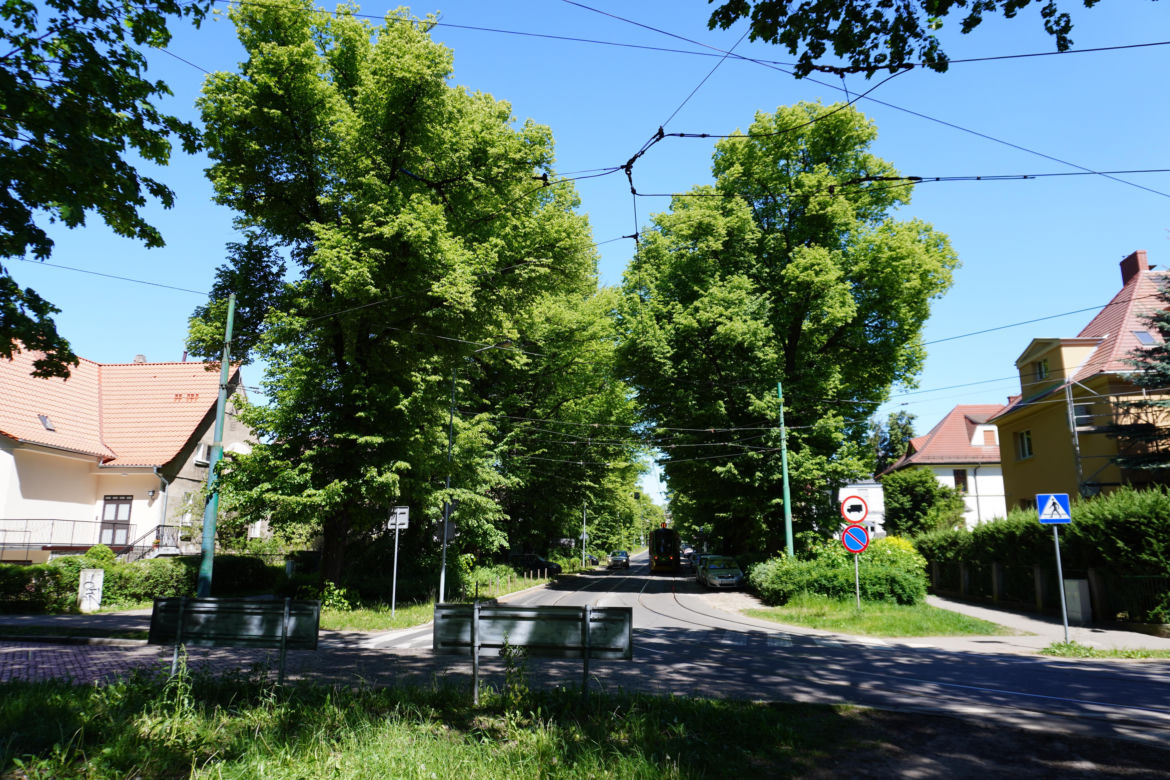 Park Sołacki w maju 2024