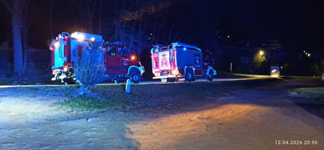 Strażacy uratowali mężczyznę tonącego w jeziorze