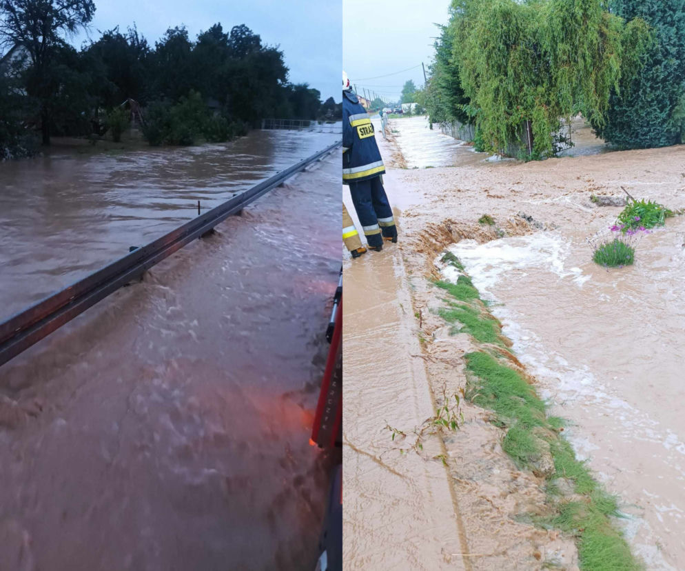 Zalane ulice, piwnice i połamane gałęzie. Zobacz skutki intensywnych opadów w woj. lubelskim