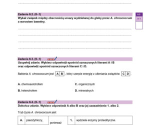 Próbna matura 2026 biologia. WSZYSTKIE arkusze CKE i odpowiedzi 14.01.