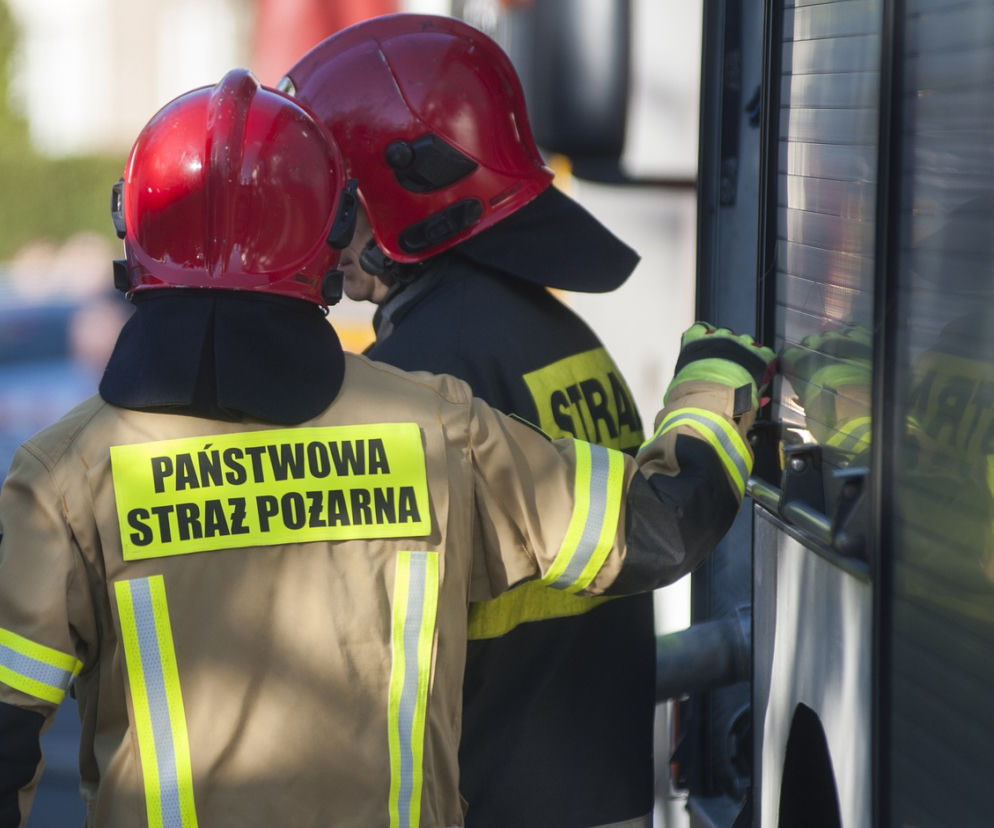 Zdjęcie poglądowe