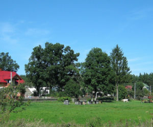 Ta wieś ma 600 lat. Choć ukryta przed światem, znajduje się niedaleko popularnej trasy