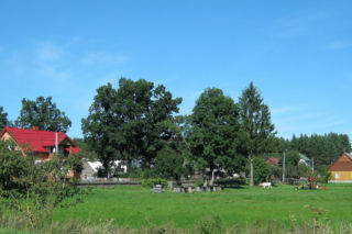 Ta wieś ma 600 lat. Choć ukryta przed światem, znajduje się niedaleko popularnej trasy