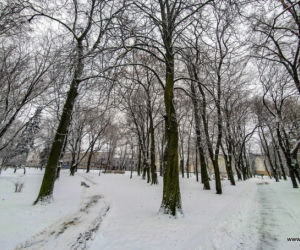 Park Jakuba Wagi zimą