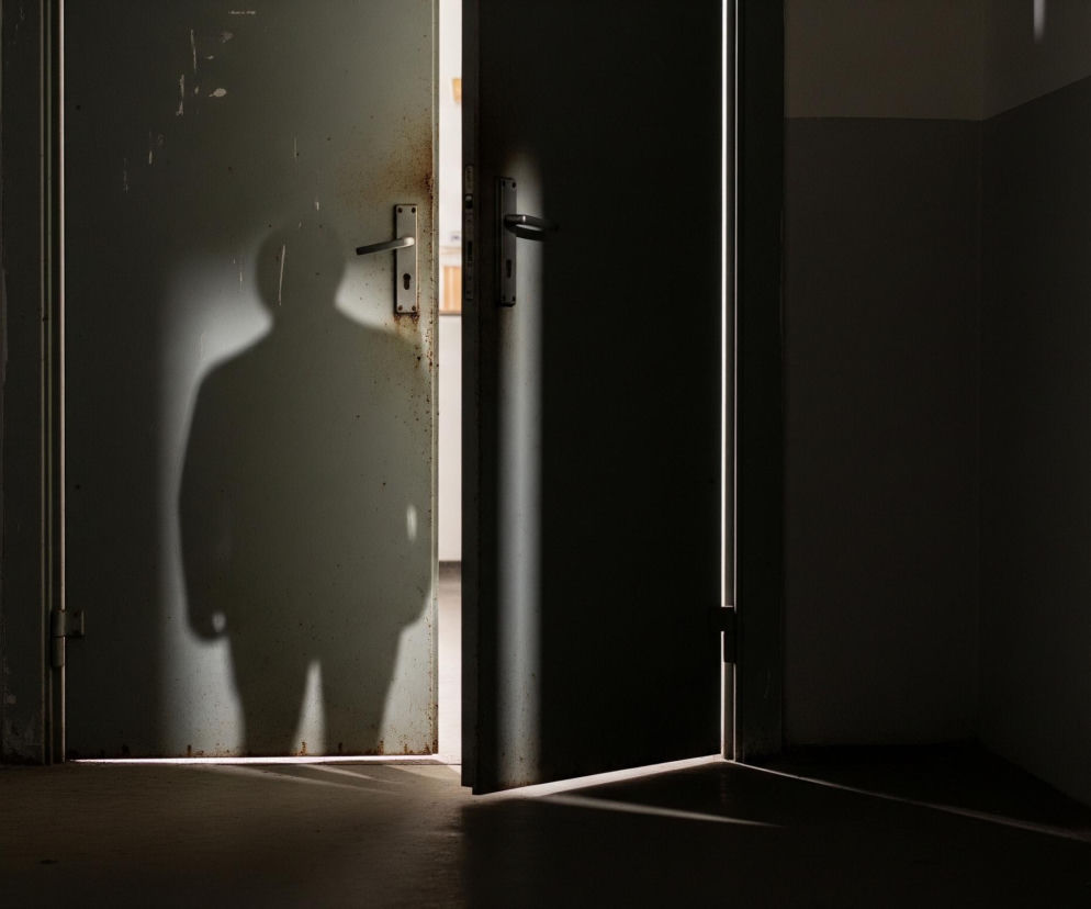 Ciemne wnętrze z odsłoniętymi drzwiami ukazuje sylwetkę człowieka rzucającą długi cień na lewe, otwarte skrzydło drzwi. Drzwi są zardzewiałe i pomalowane na jasnoszary lub oliwkowy kolor, z widocznymi klamkami i zamkami. Światło prześwituje przez szczelinę między drzwiami, tworząc jasny pasek na podłodze, podczas gdy reszta pomieszczenia pozostaje w głębokim cieniu.