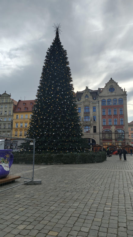 Co jest nie tak z nową choinką we Wrocławiu? "Brakuje gałązek, czubek jest niedopracowany"