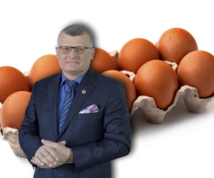 GIS ostrzega przed salmonellą w jajach