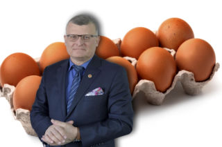 GIS ostrzega przed salmonellą w jajach