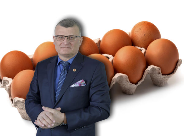 GIS ostrzega przed salmonellą w jajach