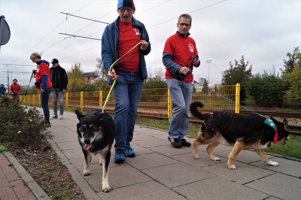 Parada Psów Adoptowanych w Bydgoszczy 2022 [ZDJĘCIA]
