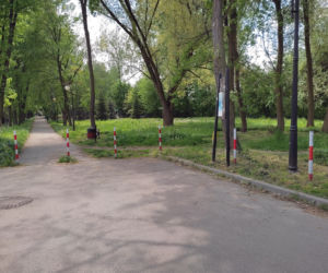 Zabójstwo w Chełmku, Tomasz zginął bo poprosił o papierosa
