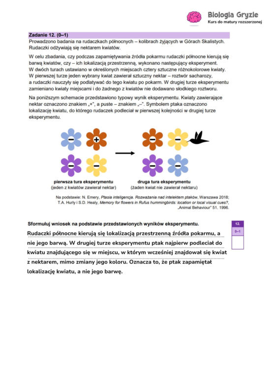 Odpowiedzi matura próbna biologia rozszerzona 2024