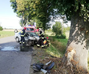 GROŹNY WYPADEK w miejscowości Lutkowo. Kobieta uderzyła w drzewo, a następnie DACHOWAŁA