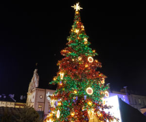 Świąteczne iluminacje rozświetliły Rzeszów