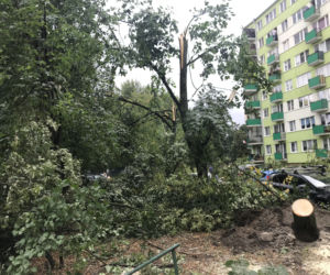 Jedną z dzielnic, któa ucierpiała najbardziej był Czechów Południowy