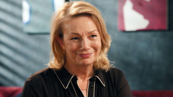 Barwy szczęścia, odc. 3349. Wanda (Maja Barełkowska)