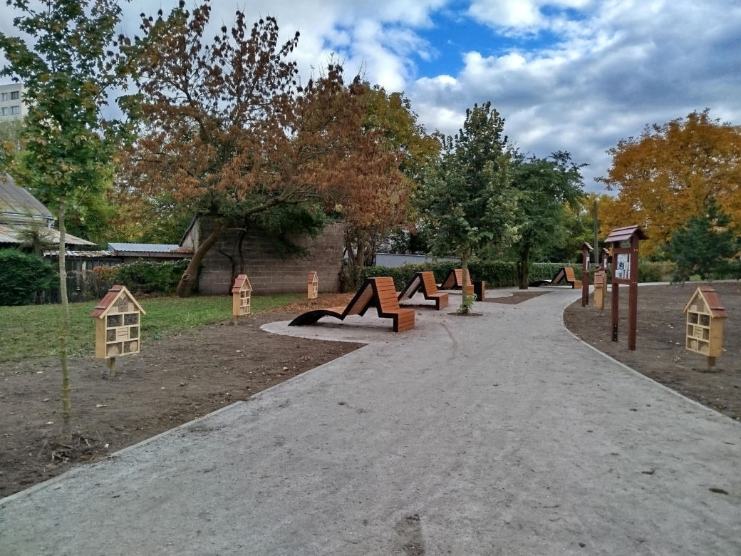 Park kieszonkowy przy ul. Żytniej w Siedlcach