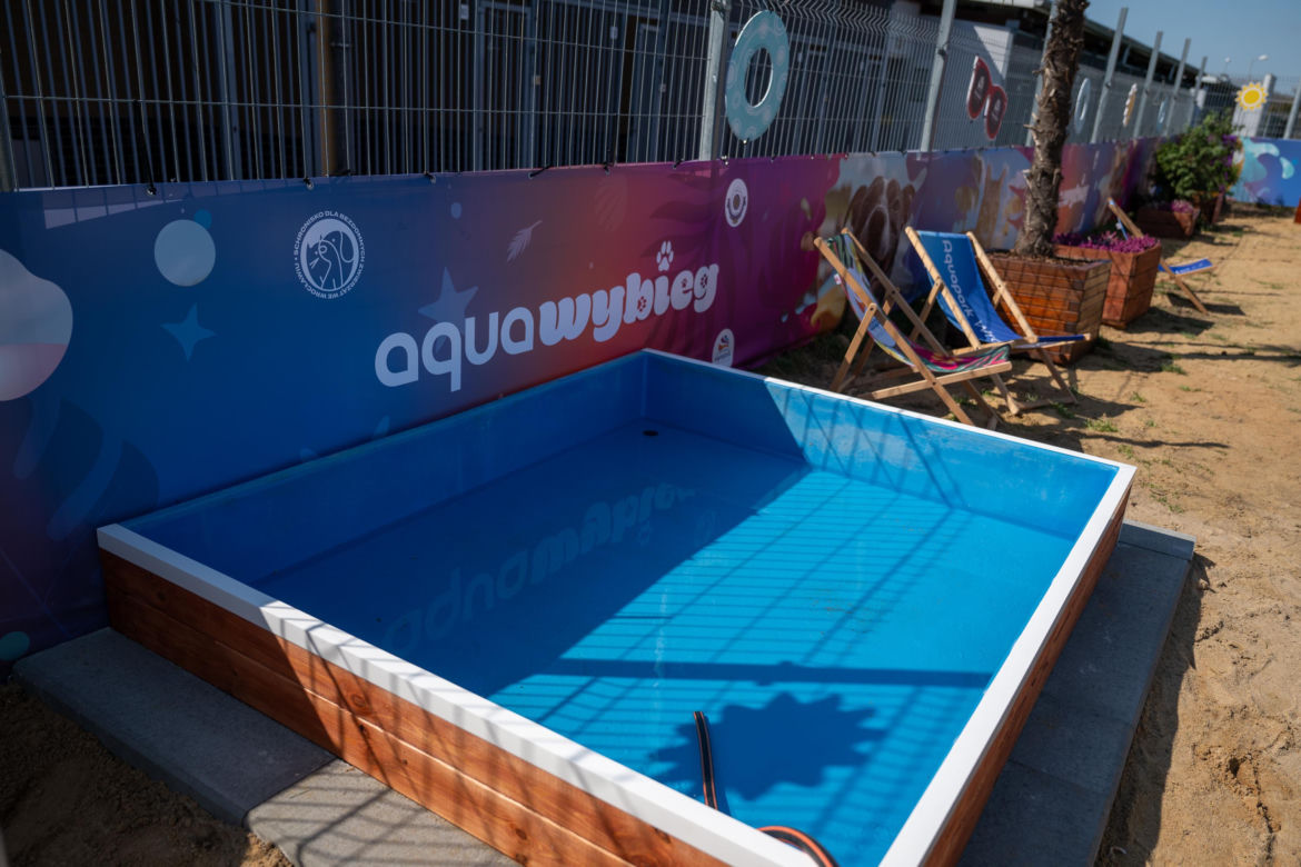 WrocŁapka i Aqua-Wybieg dla psów we Wrocławiu