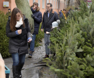 Mateusz Morawiecki. Dzieci pomogły wybrać premierowi choinkę