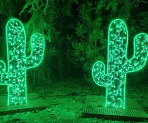 Ogród Botaniczny po zmroku zamienia się w magiczny ogród [GALERIA]