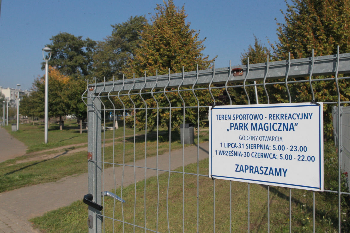 Dzikie harce dzików na Białołęce. Zwierzęta zdemolowały park!