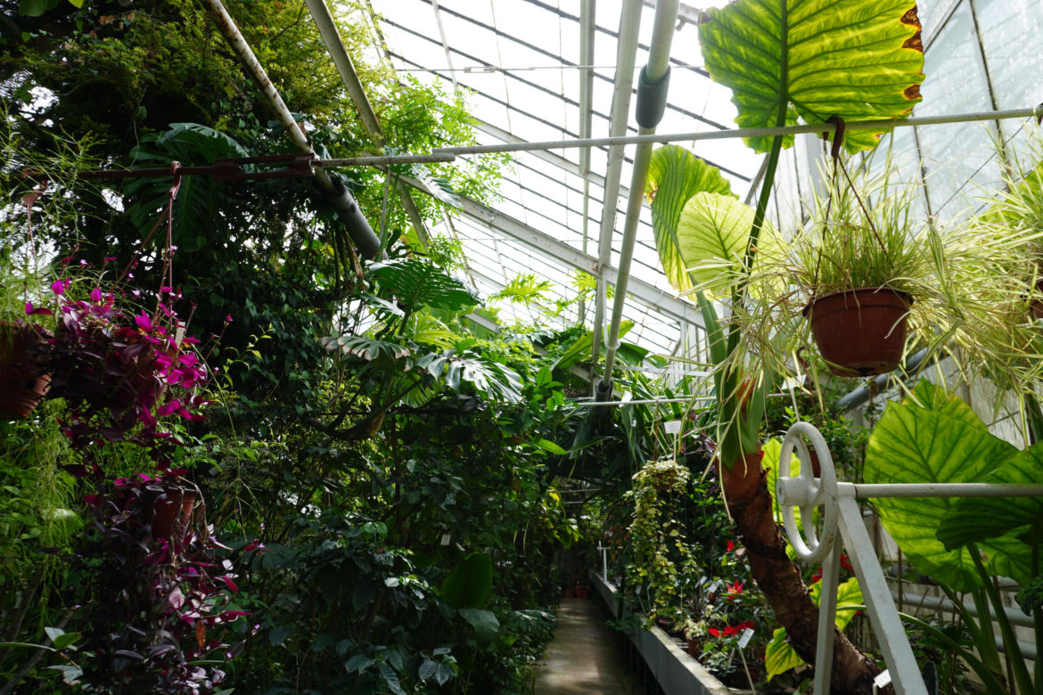 Ogród Botaniczny w Lublinie
