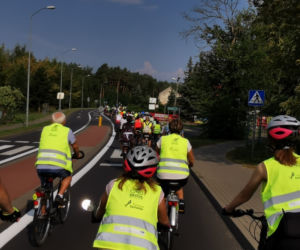 Do Rezerwatu Świdwie z Gryfusem