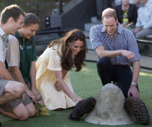 Księżna Kate w ZOO