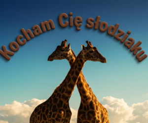 Kartki na Walentynki 2026 do ściągnięcia. Najlepsze życzenia walentynkowe